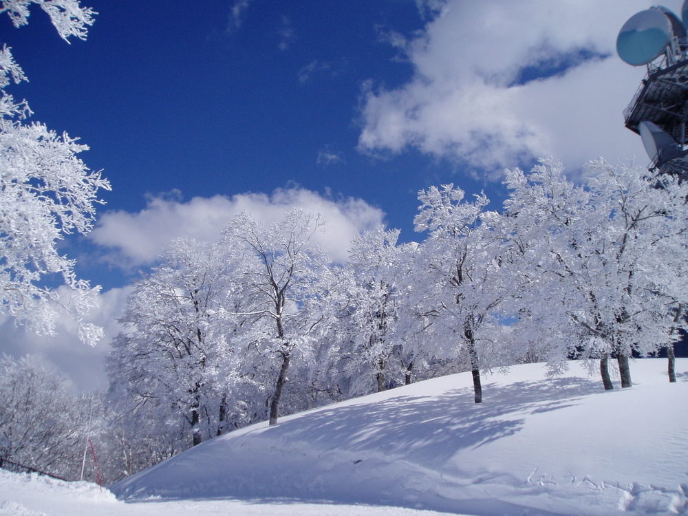 Lodge Matsuya Nozawaonsen Exteriör bild